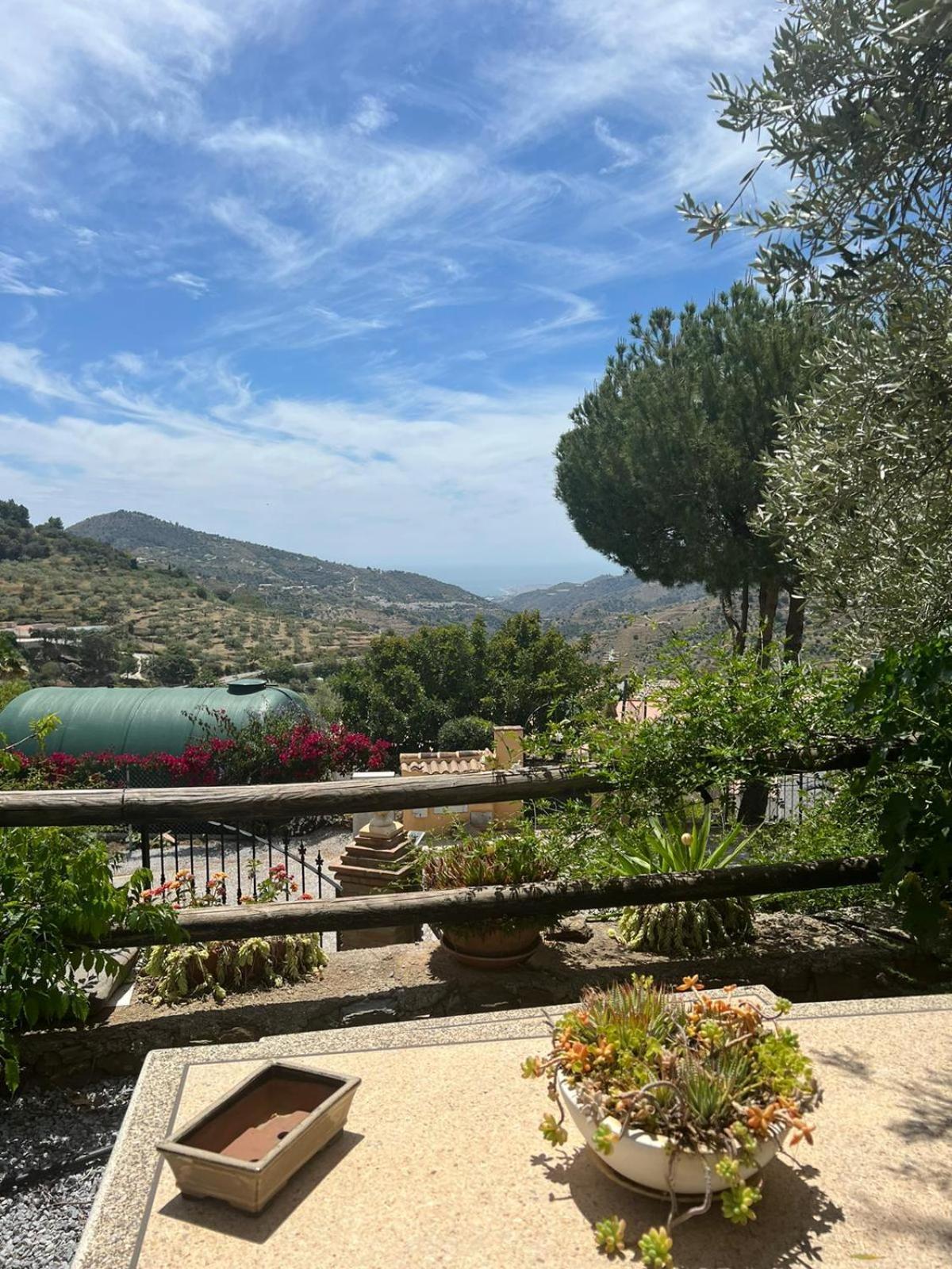 Los Olivos Málaga Exterior foto